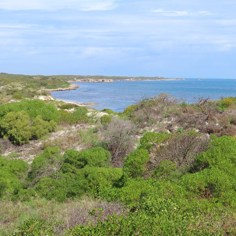 Ti Tree Point Scenic Lookout