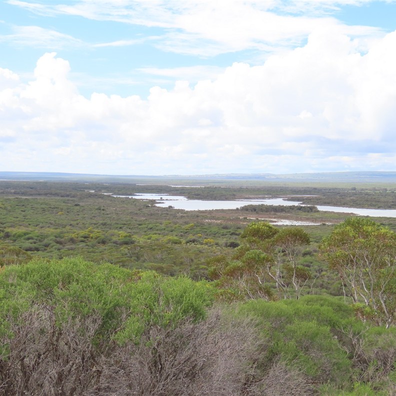Grigson's Lookout