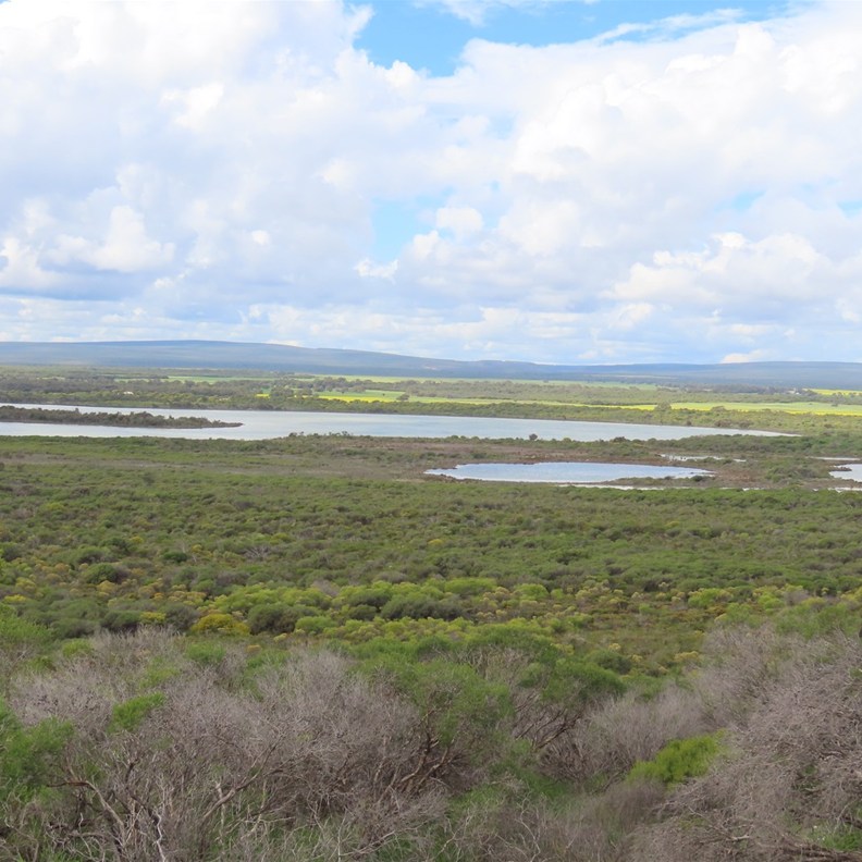 Grigson's Lookout 2