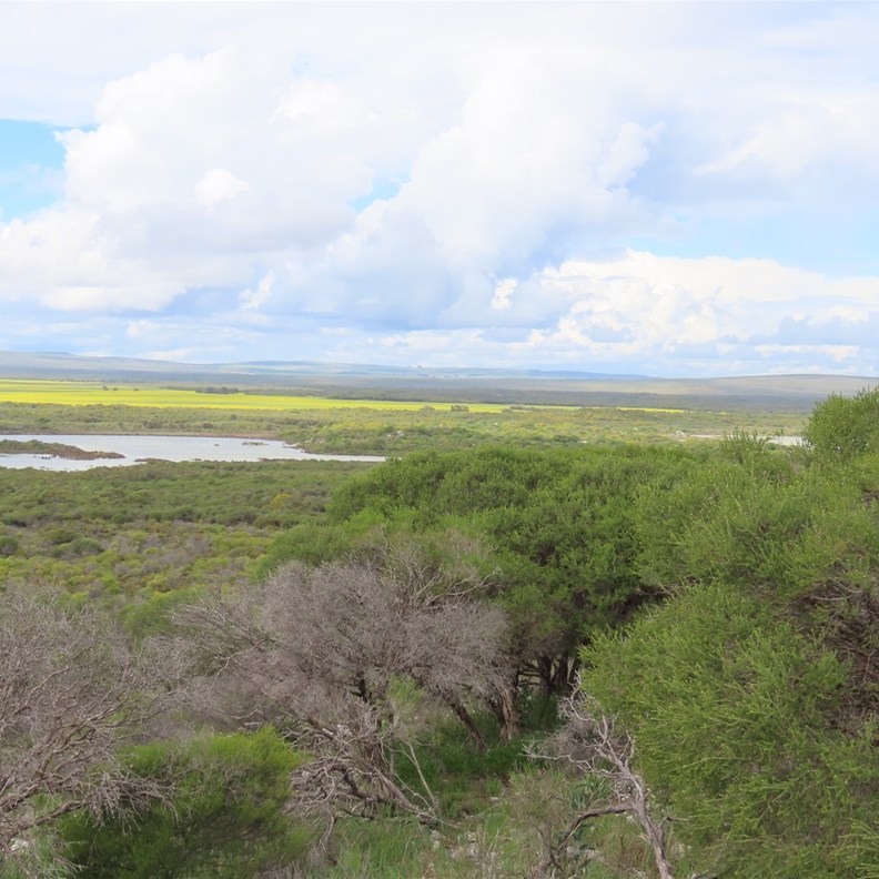 Grigson's Lookout 3