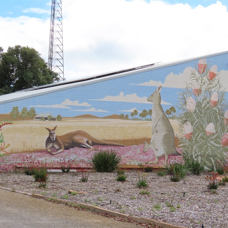 Carnamah Streetart 2