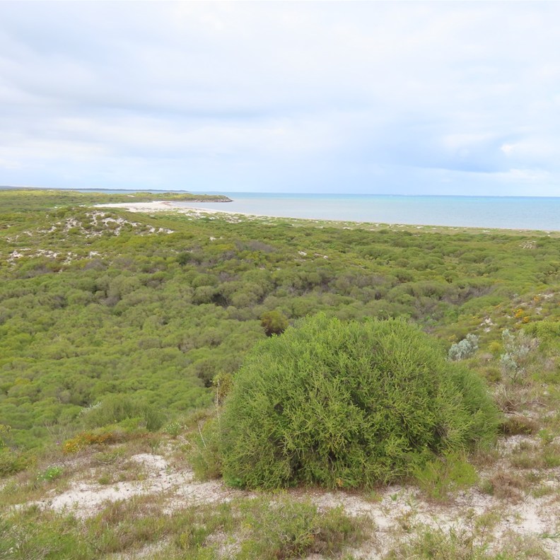 Hansen Bay