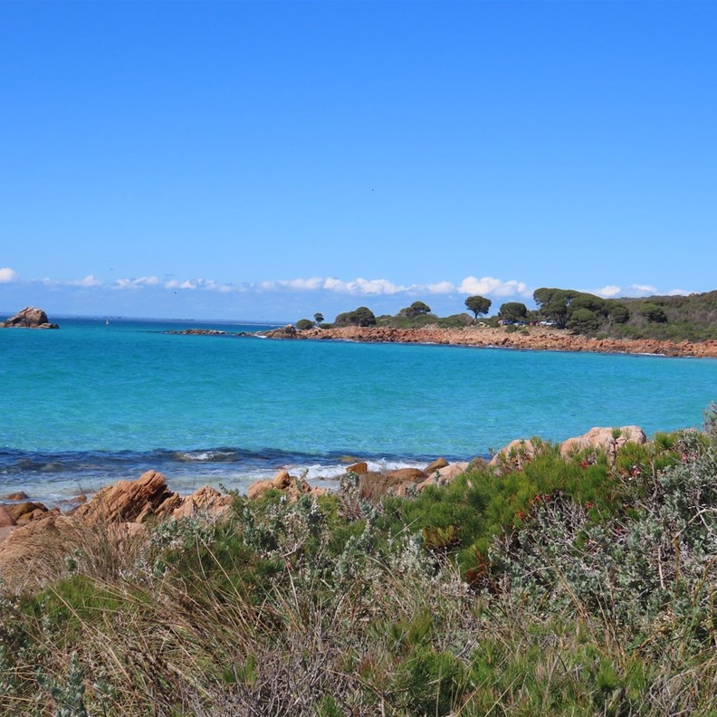 Point Picquet 2