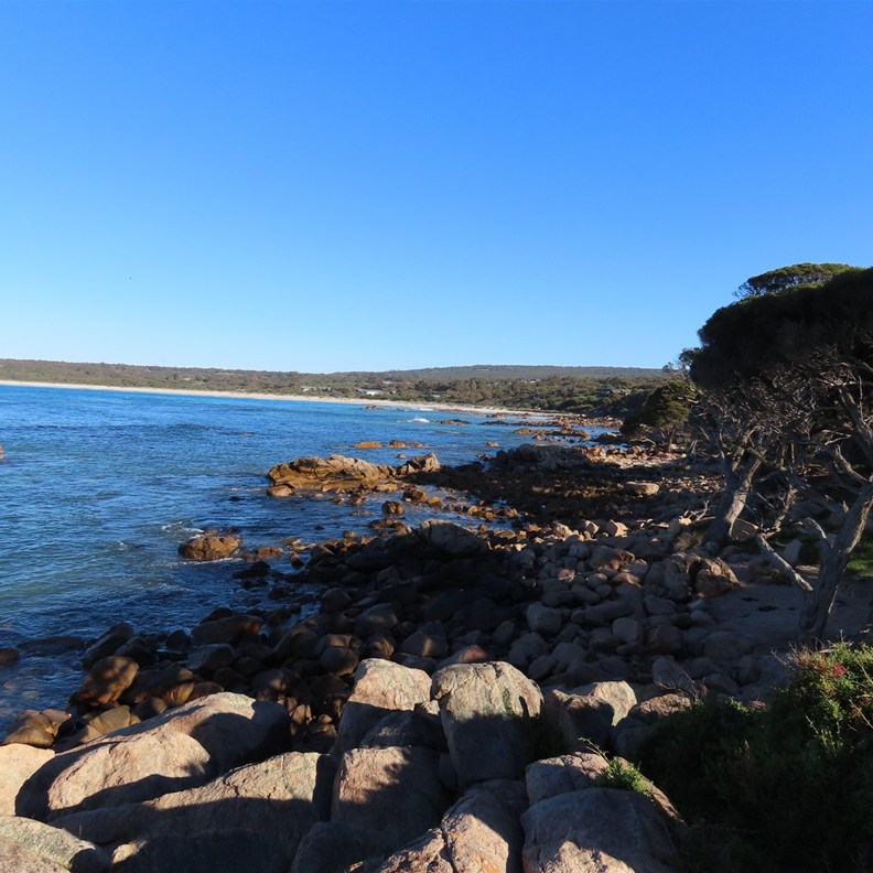 Shelly Cove 2