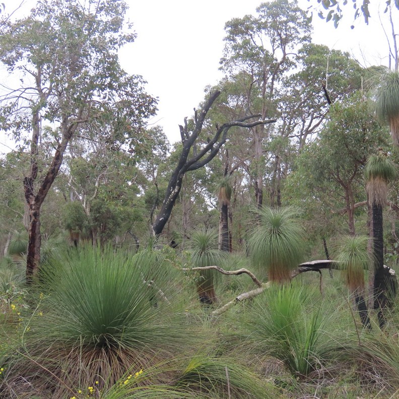 Ambergate Reserve