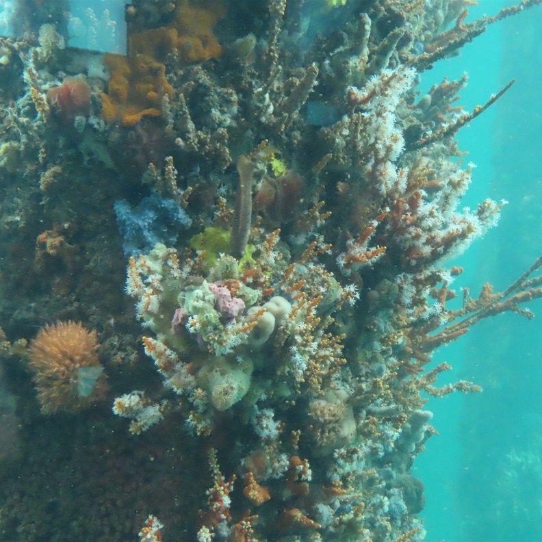 Busselton Jetty 5