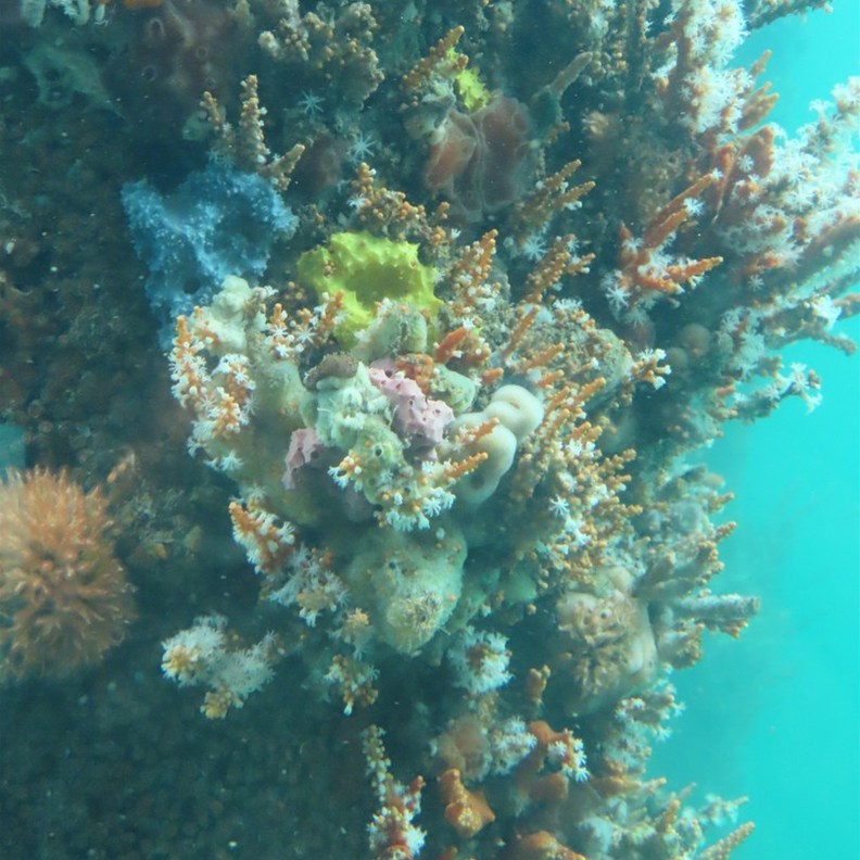 Busselton Jetty 7