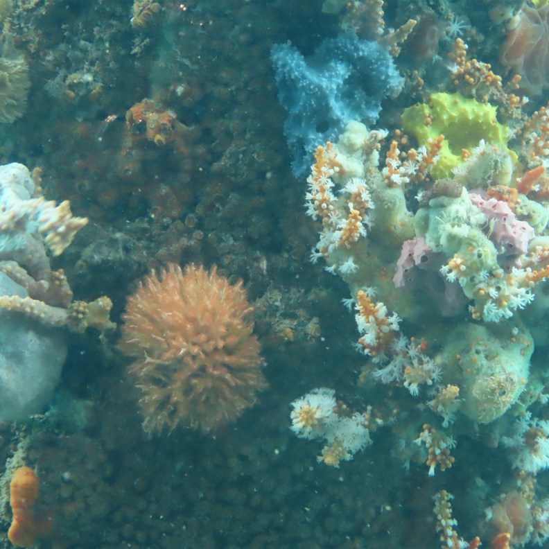 Busselton Jetty 8