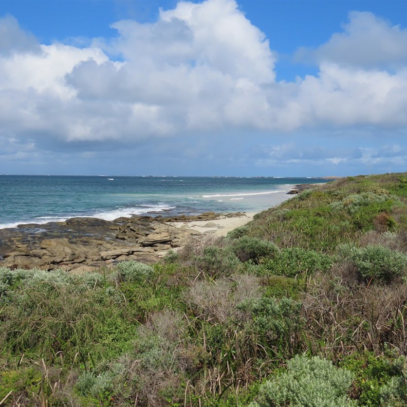 Augusta Boat Harbour 2