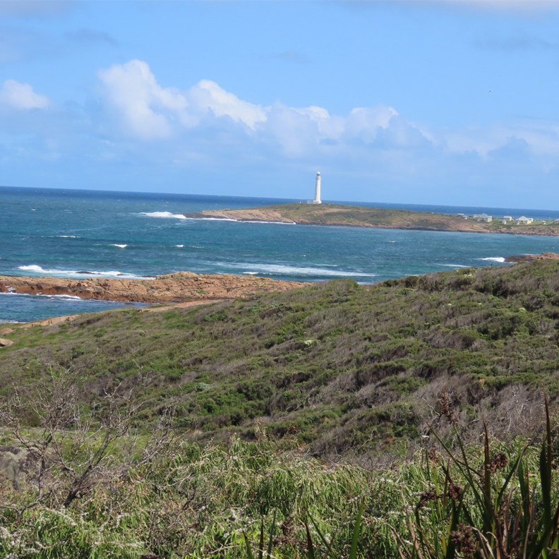 Hillview Lookout