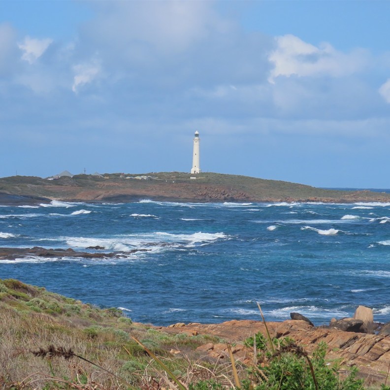 Skippy Rock 2