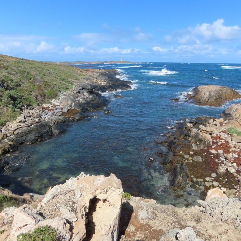 Skippy Rock 3