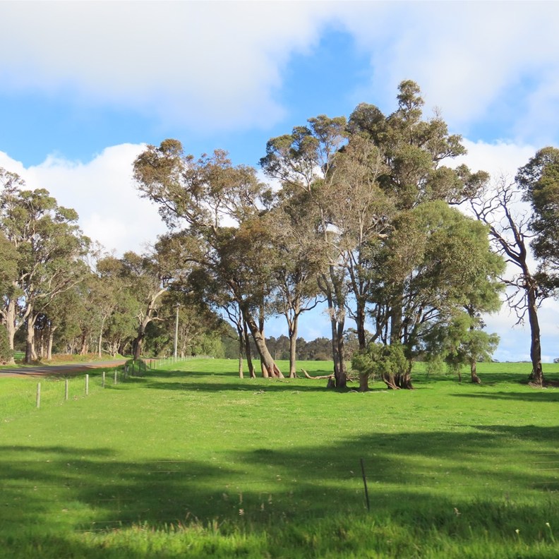 Green Countryside