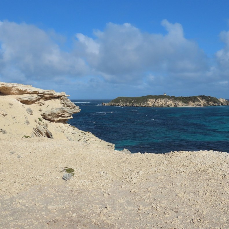 Hamelin Bay 5