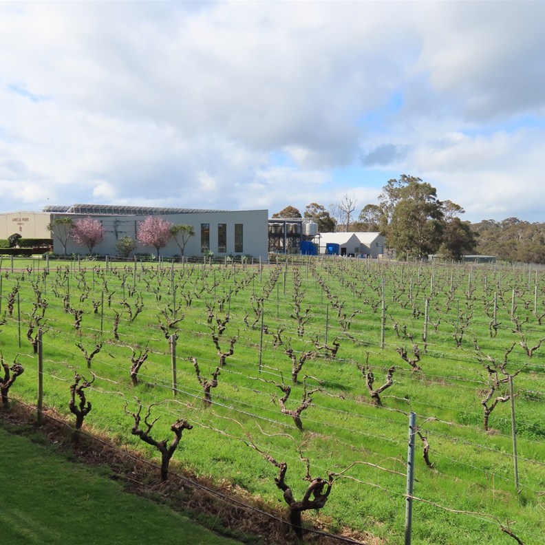 Amelia Park Winery
