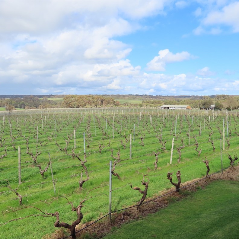 Amelia Park Winery 2