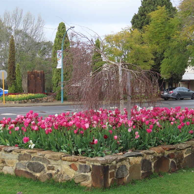 Nannup