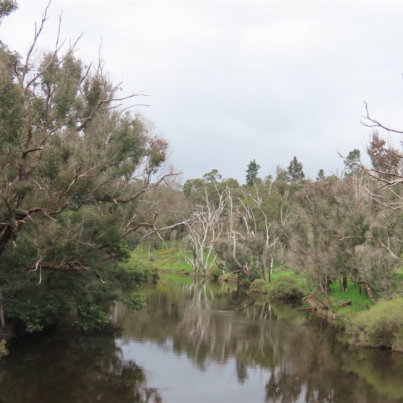Blackwood River