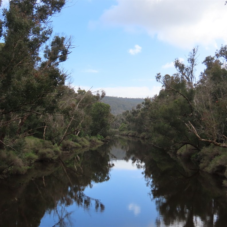 Blackwood River 2