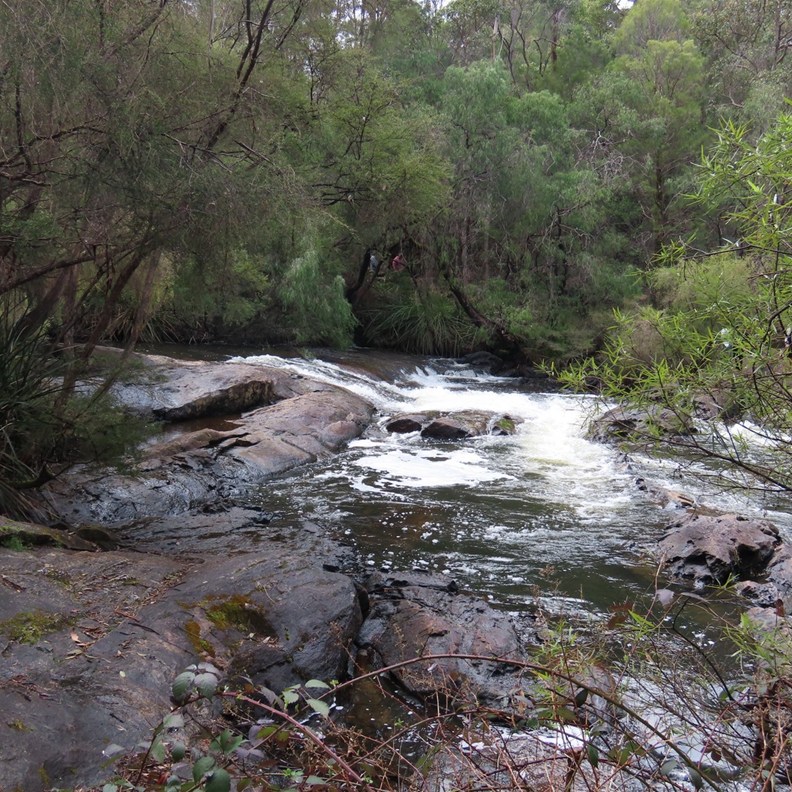 The Cascades 3