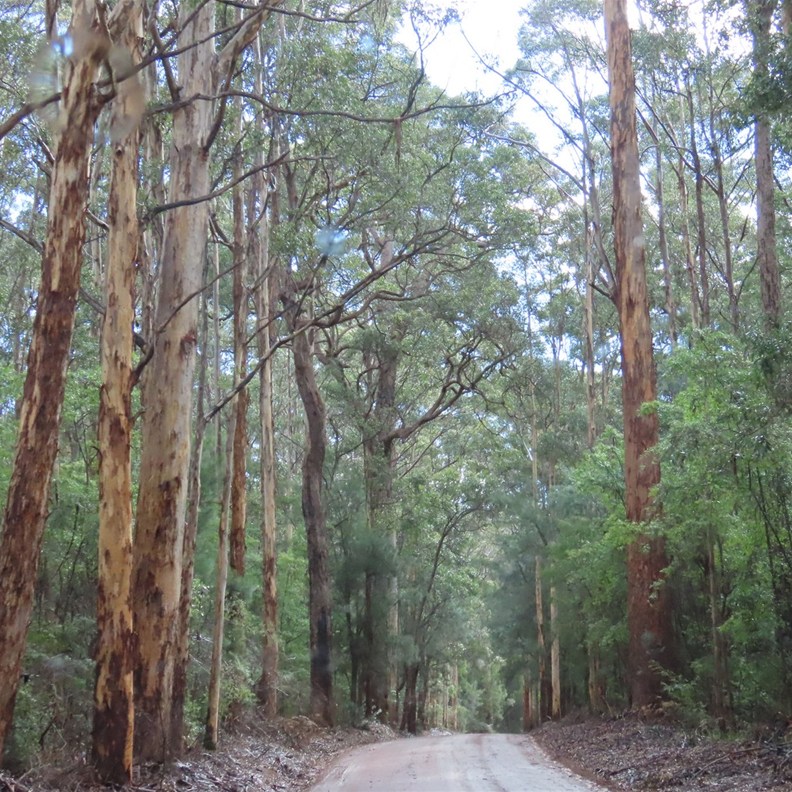 Warren National Park
