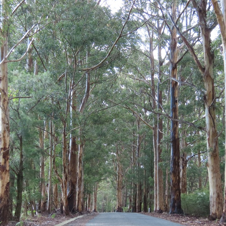 Warren National Park 2