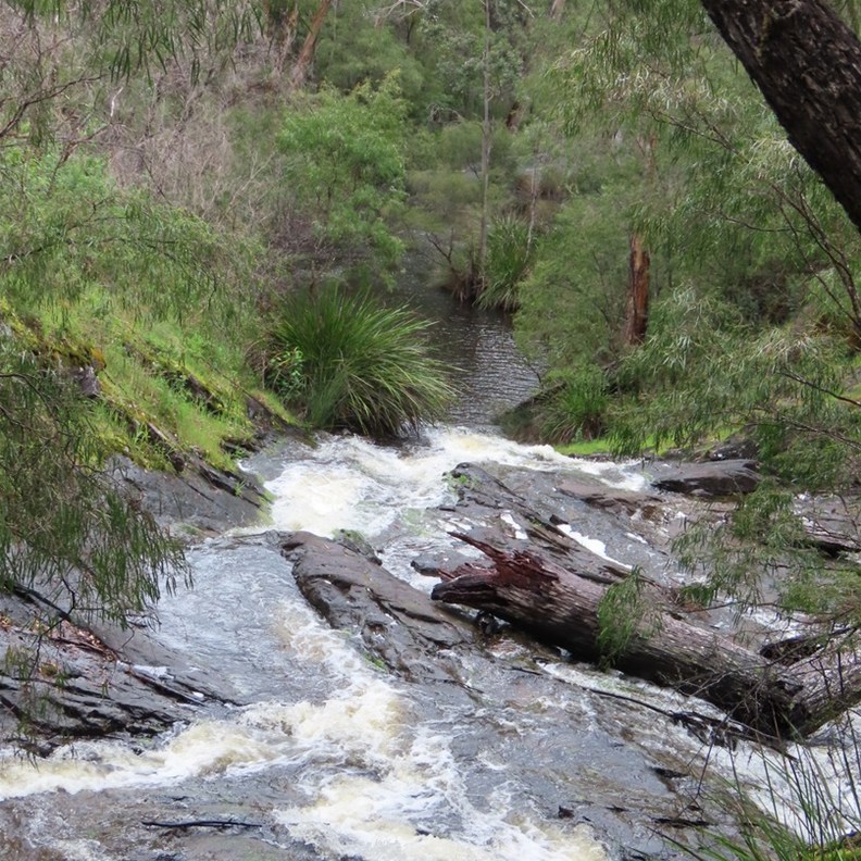 Beedelup Falls 5