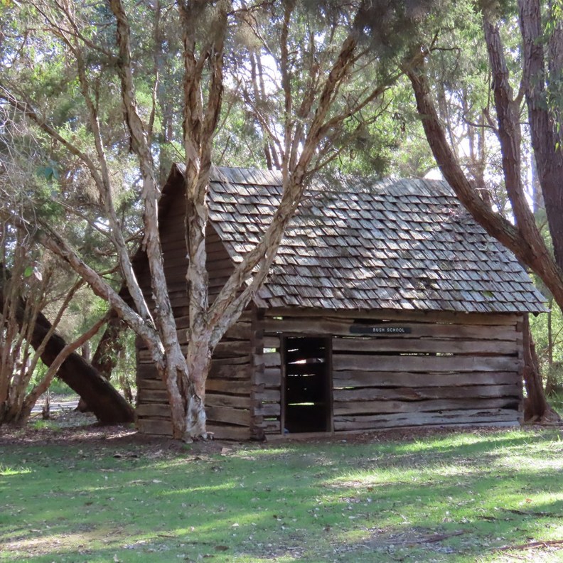 Bush School