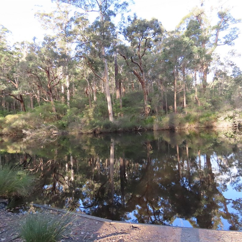 Glenoran Pool