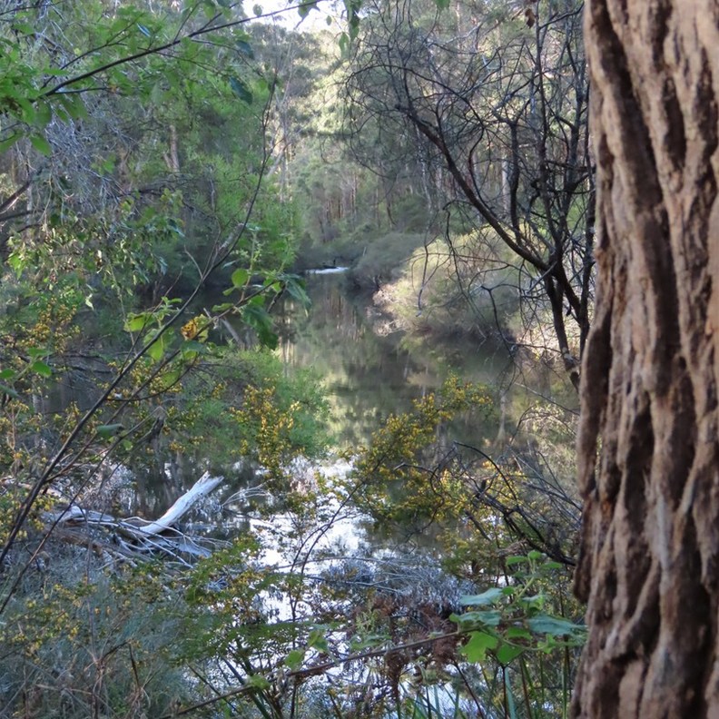 Glenoran Pool 3