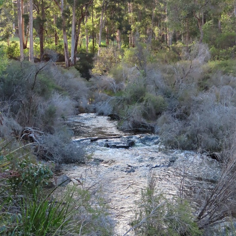 Glenoran Pool 4