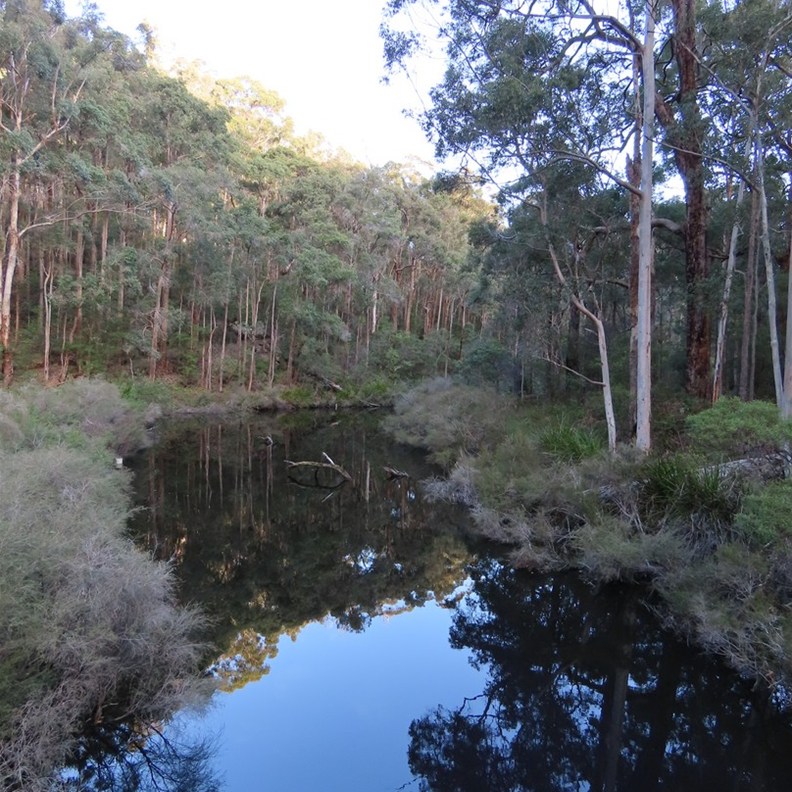 One Tree Bridge 2
