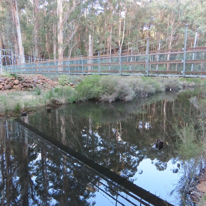 One Tree Bridge 3