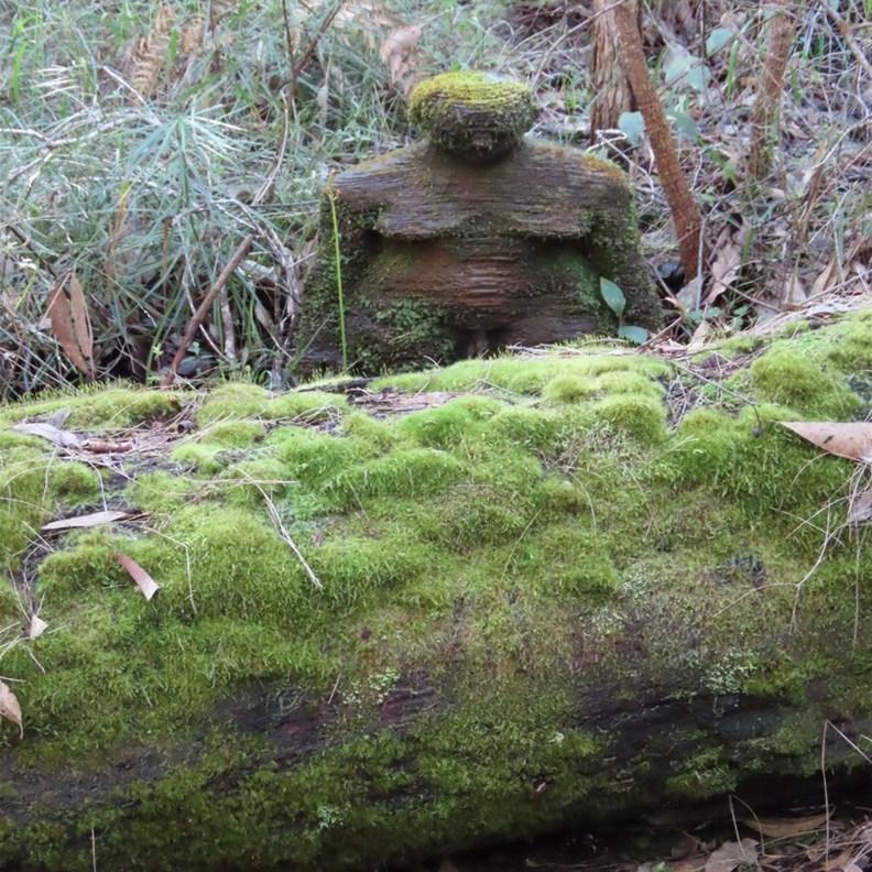 Understory Art & Nature Trail 5