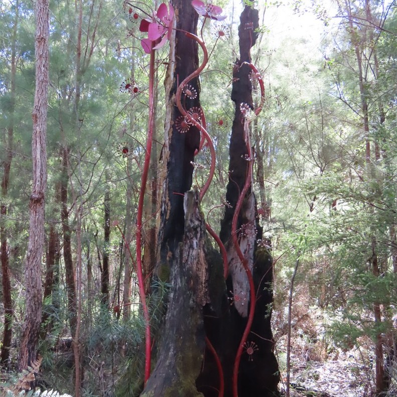 Understory Art & Nature Trail 6