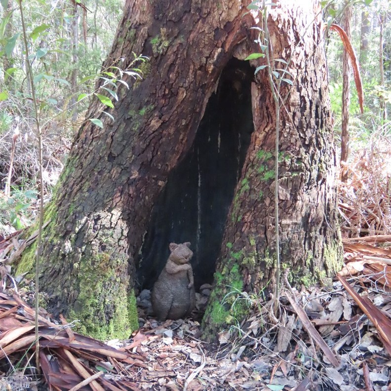Understory Art & Nature Trail 7