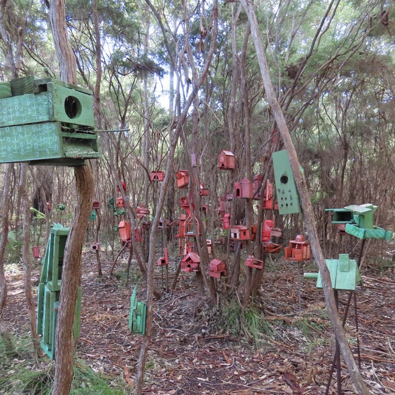 Understory Art & Nature Trail 8