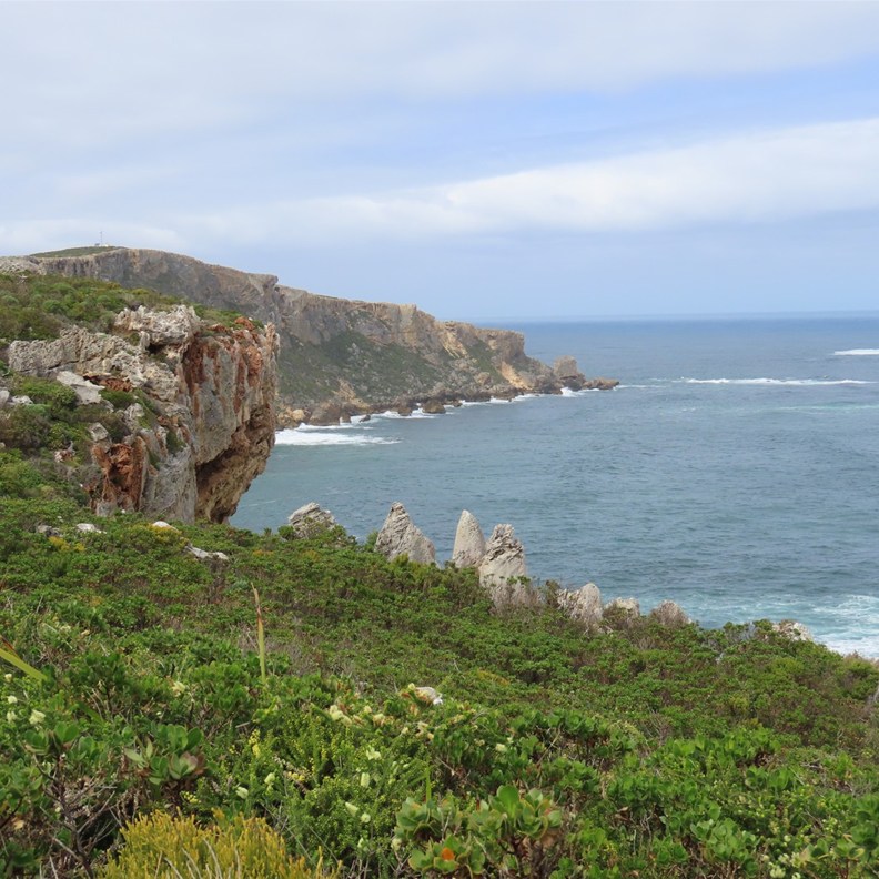 Tookulup Lookout