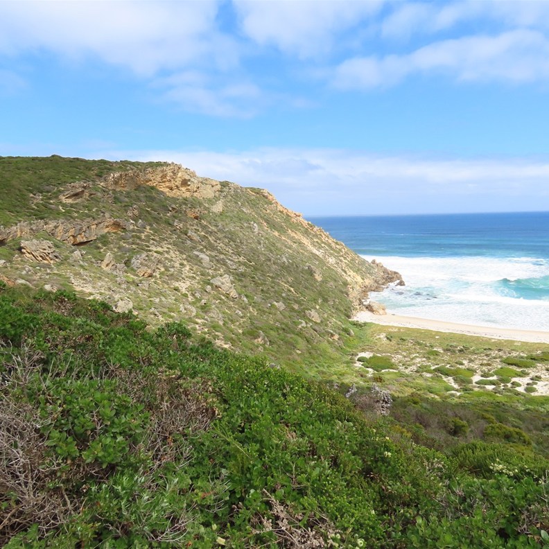 Salmon Beach Lookout
