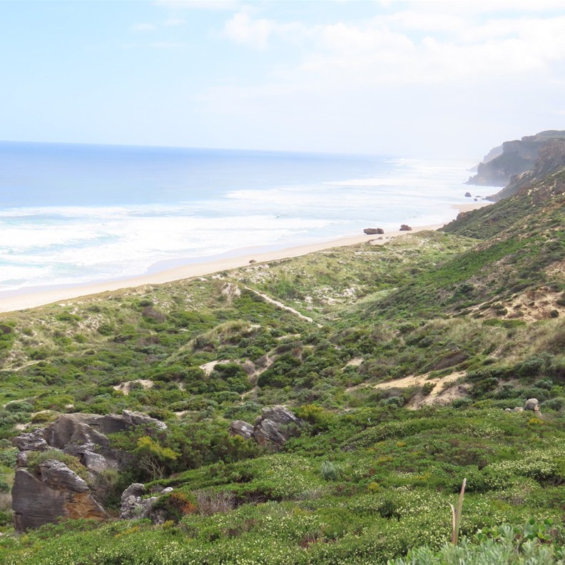 Salmon Beach Lookout 2