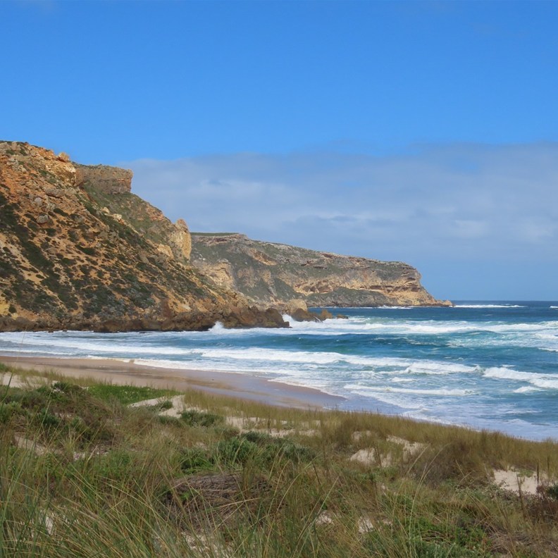 Salmon Beach Lookout 3