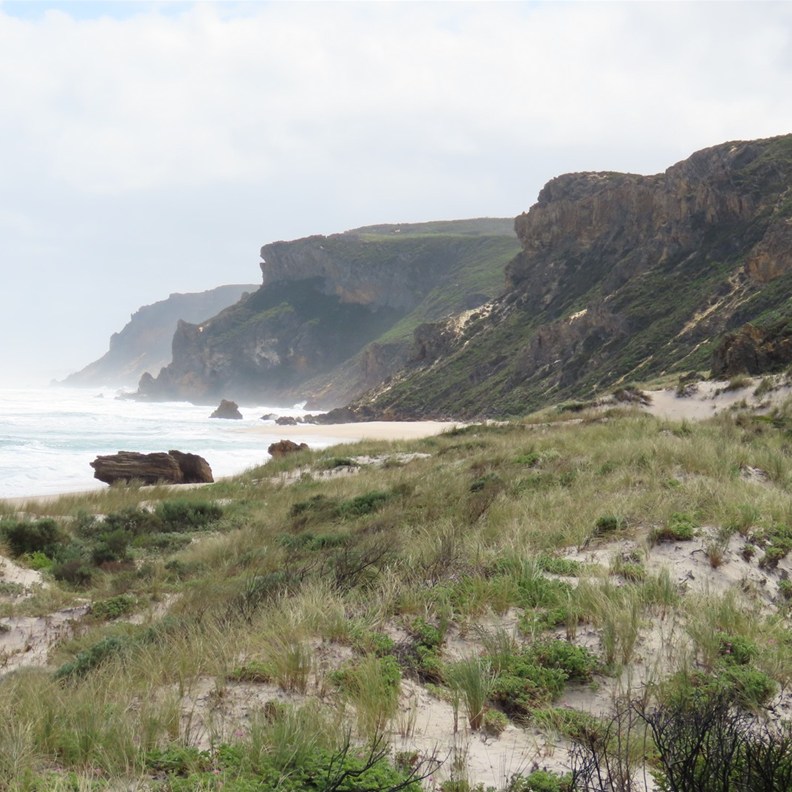 Salmon Beach Lookout 4