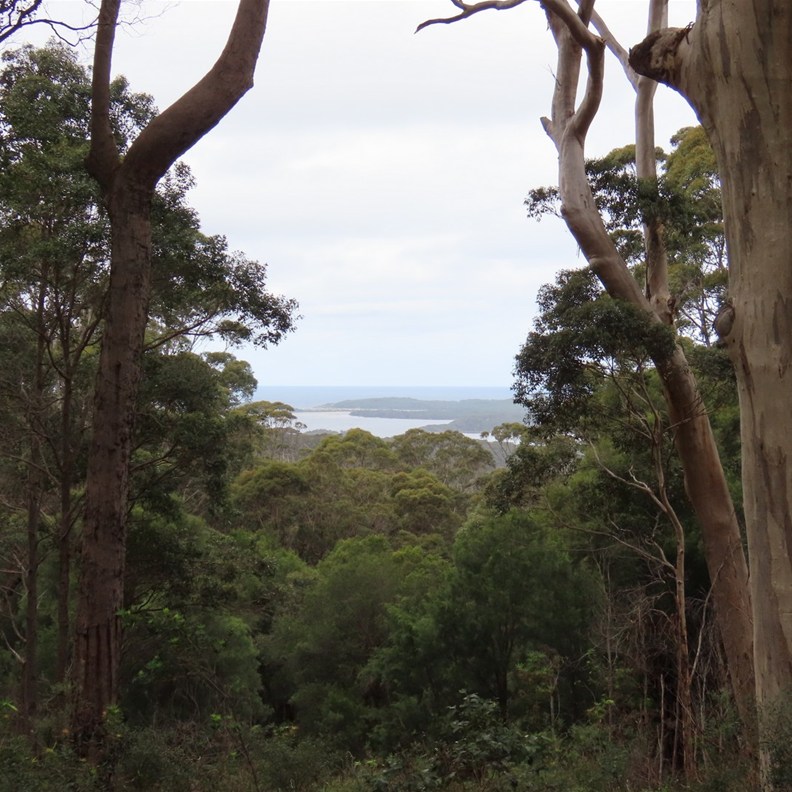 John Rate Lookout 2