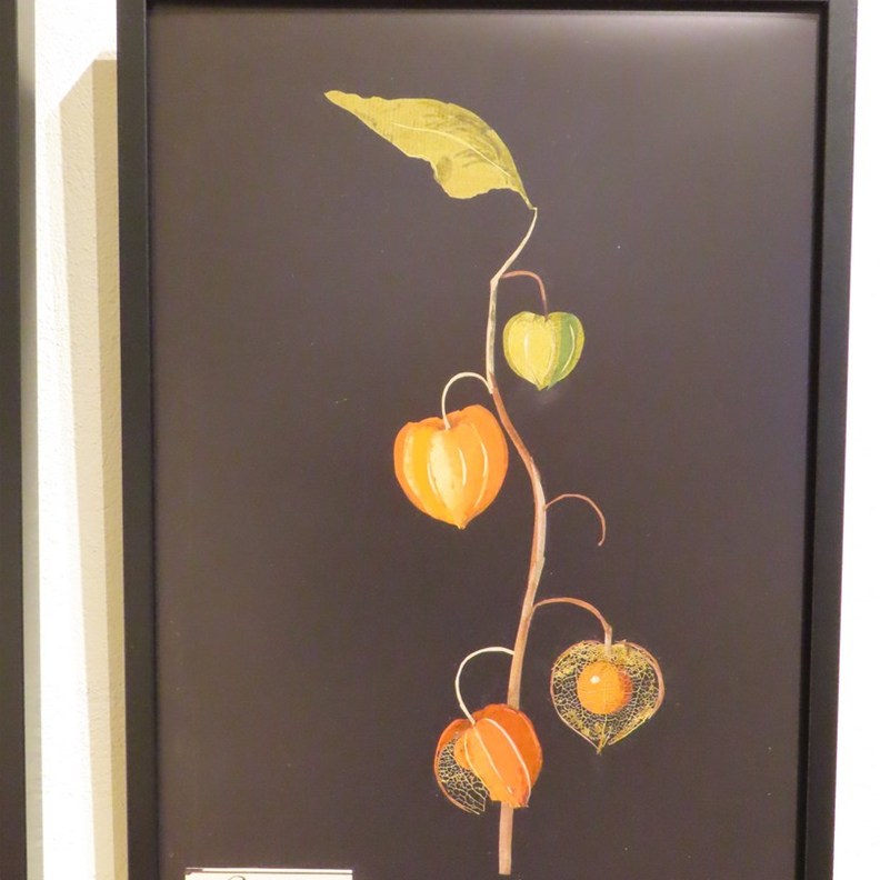 Botanical World of Mary Delany 2