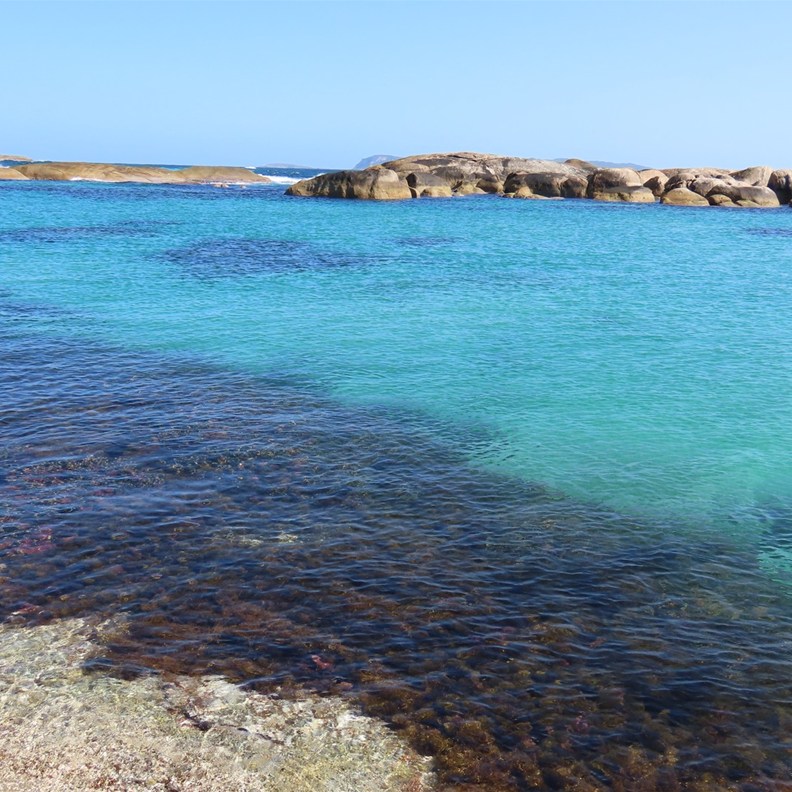Green Pool 4