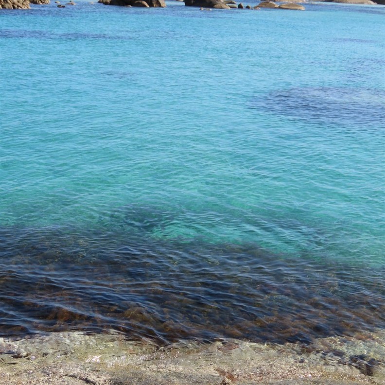 Green Pool 5