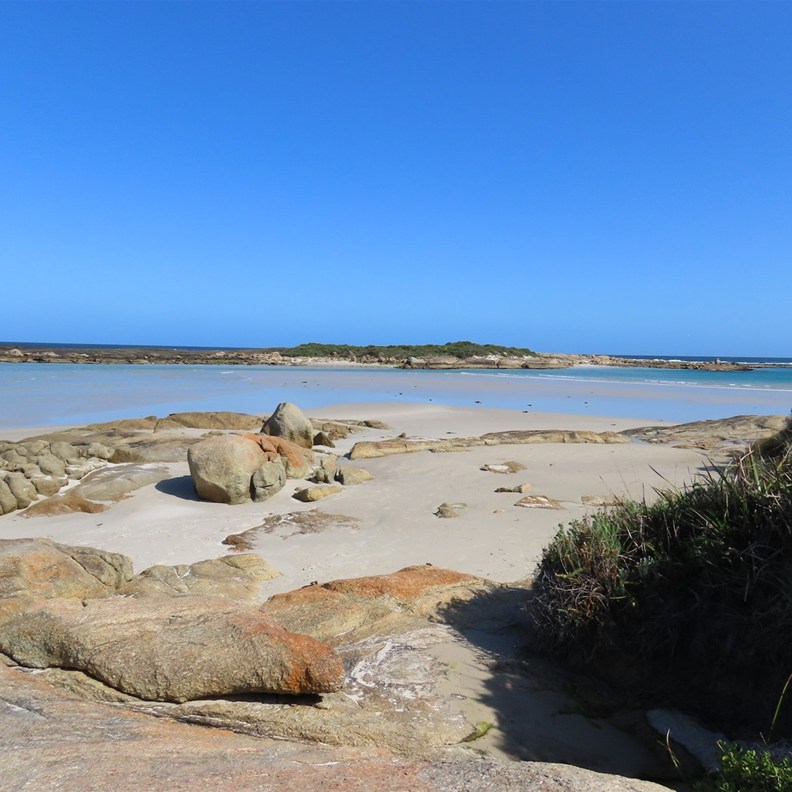 Madfish Bay 2