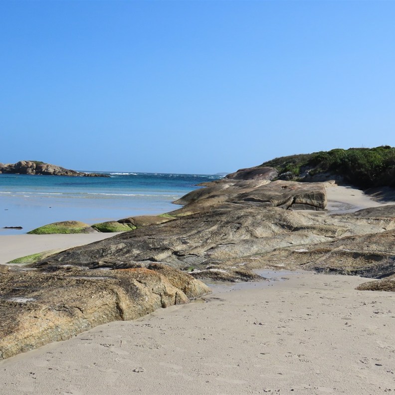 Madfish Bay 3