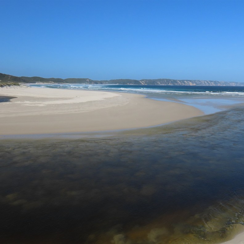 Ocean Beach 3