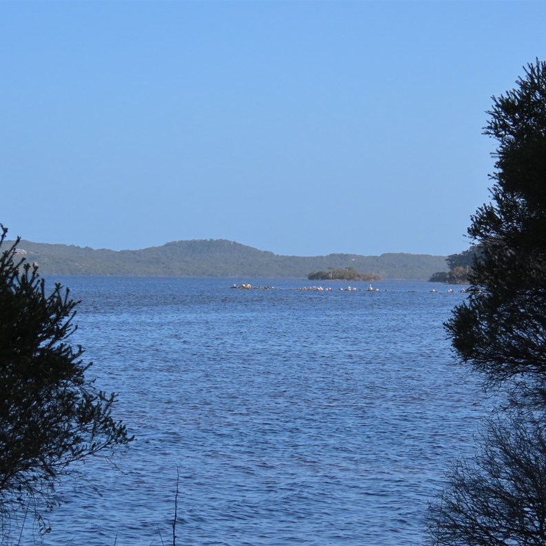 Denmark Rivermouth